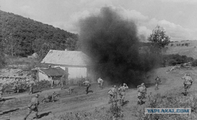 Фотографии войны 1941-1945 годов