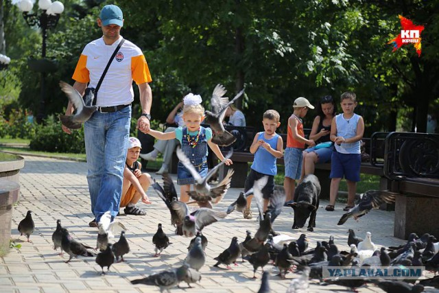 Прогулка по мирному Донецку