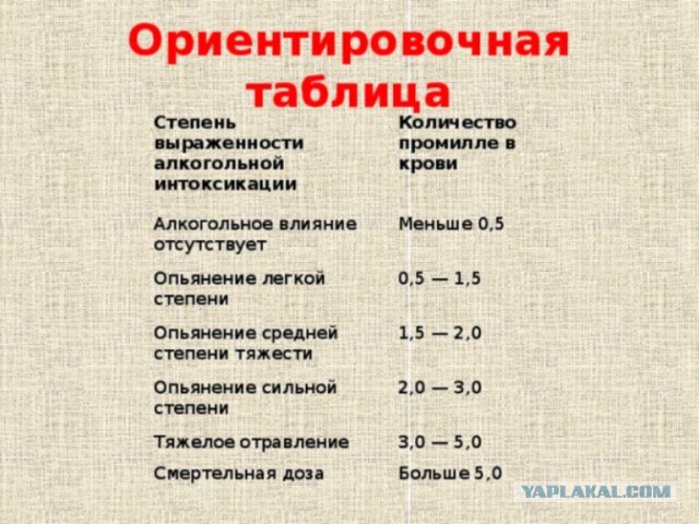 Видеорегистратор запечатлел последние секунды жизни семьи из трех человек