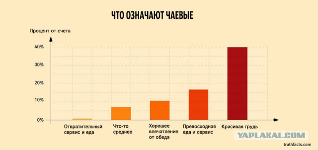 33 ироничных факта о нашей жизни в графиках