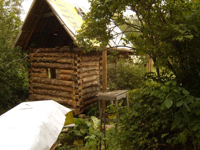 Деревенская банька на даче.
