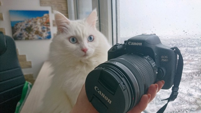 Продам Canon 750D