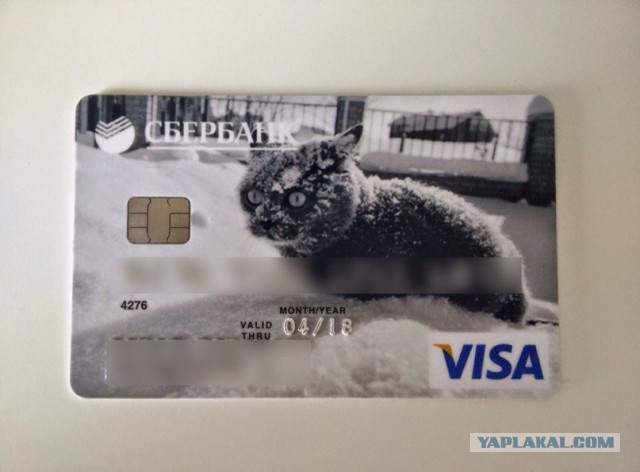 Необычные дизайны кредитных карт