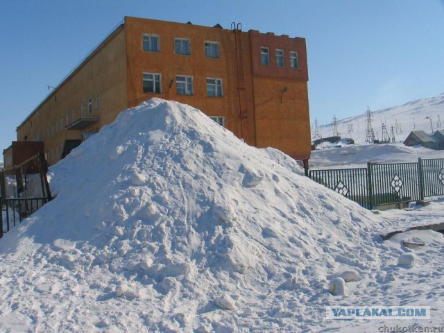 Житель Бердска поймал подозреваемого в педофилии.