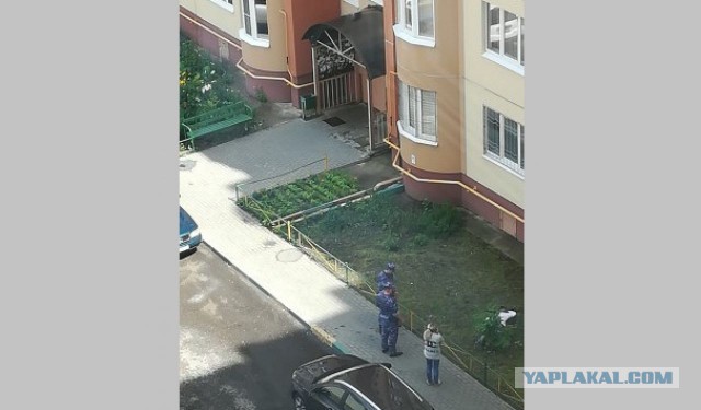 В Воронеже живодёр, который выкинул собаку с 8-го этажа, выпал из окна
