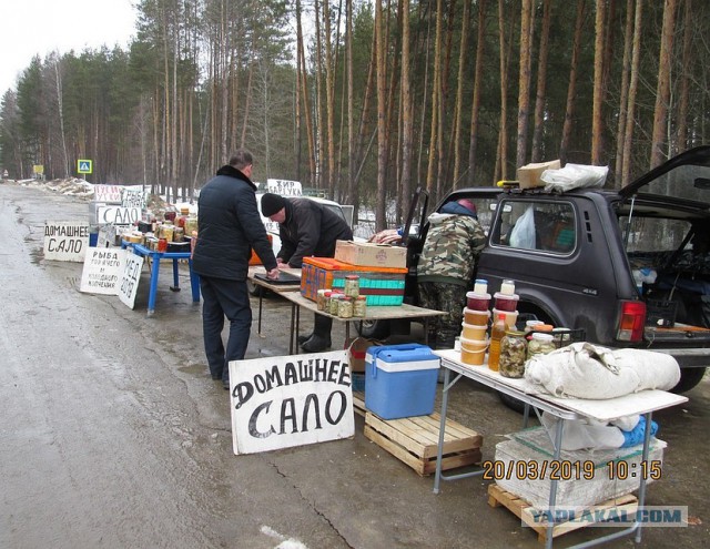 На трассе в Рязанской области незаконно торговали домашним салом