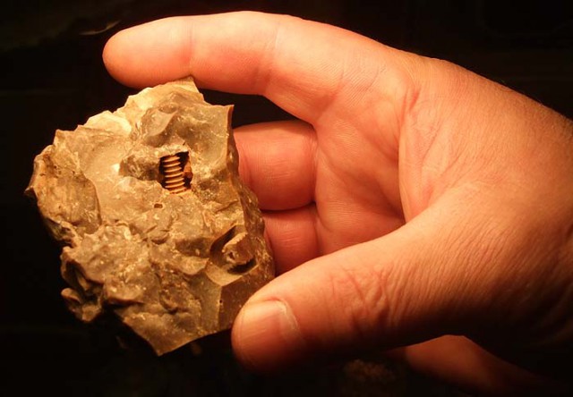 В Москве нашли болт, которому 300 миллионов лет