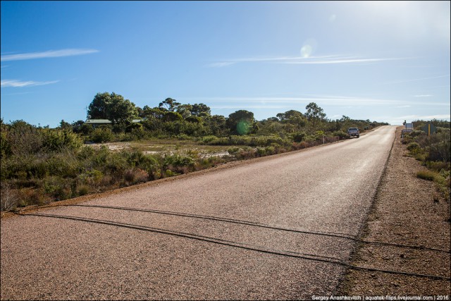 Зачем в Австралии поперек дорог кладут два кабеля?