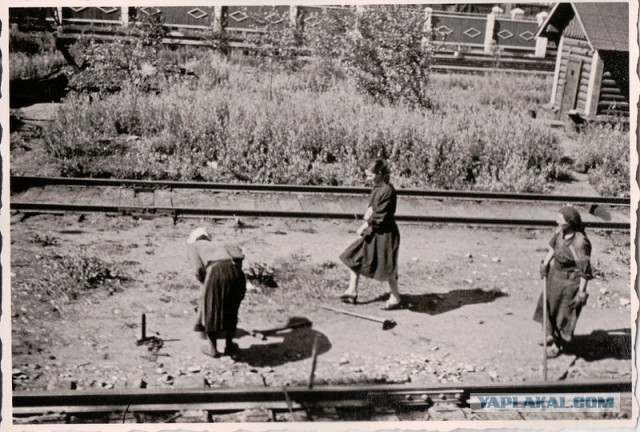 Советские фотографии Питера Робертсона, 1959 год.