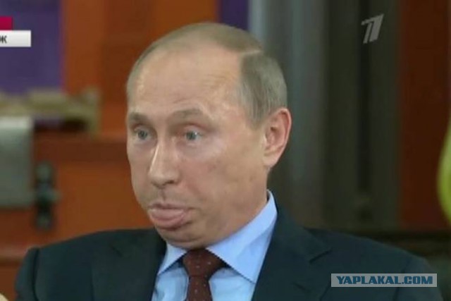Глава ВТБ Костин объяснил бесполезность поисков счетов Путина
