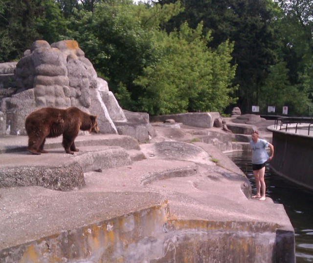 В варшавском зоопарке пьяный прыгнул к медведю