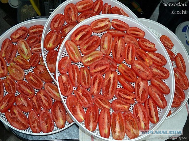 Pomodori secchi, или снова вяленые помидоры