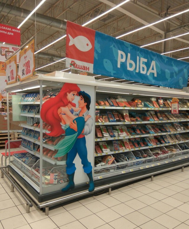 10508266.jpg