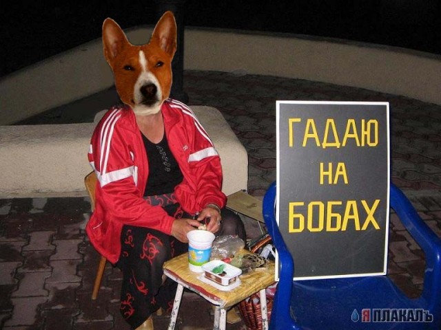 Фотожаба: Гадание на бобах!