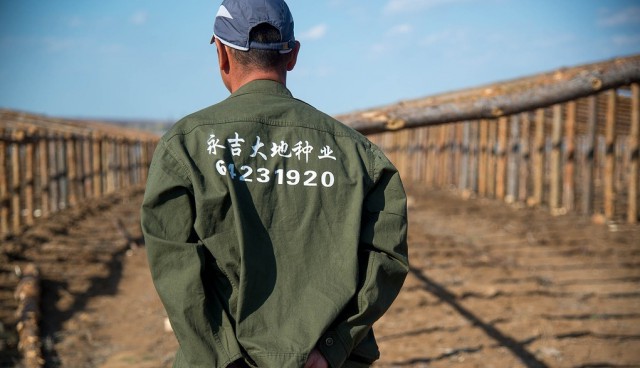 В парниковых условиях: полиция Волгограда нагрянула в китайские теплицы со смертельными помидорами