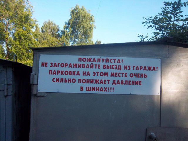 10971376.jpg