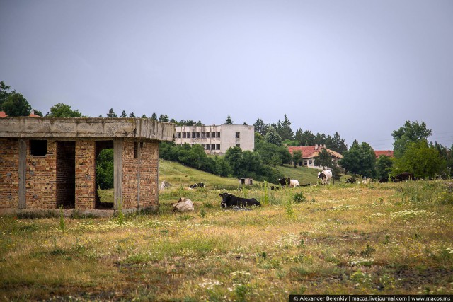 Звездец в Болгарии