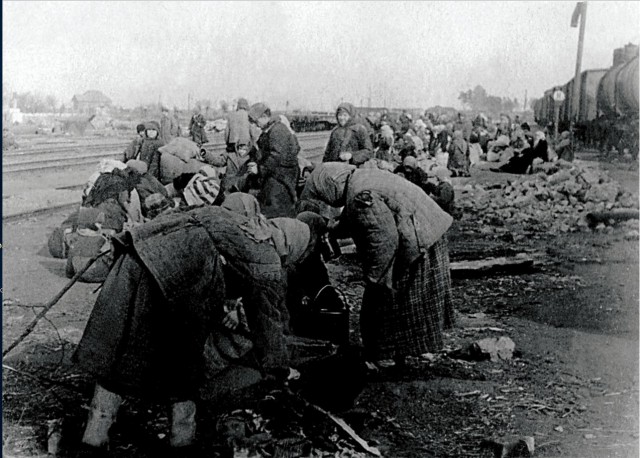 1941-1944. Небольшая подборка фотографий военных лет