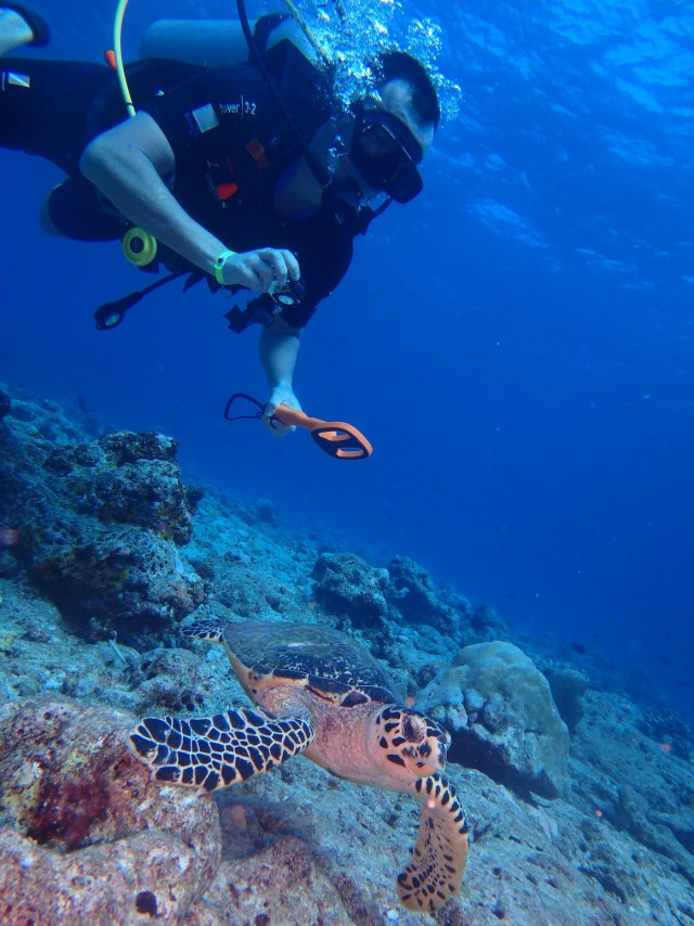 Мальдивы подводный поиск среди акул