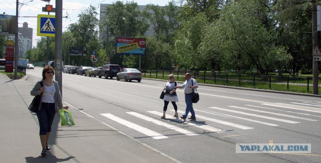 Госдума увеличила штраф для водителей за отказ уступить дорогу пешеходам