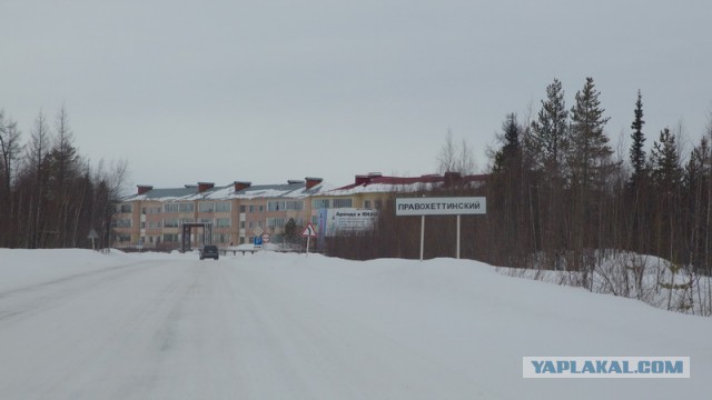 Новый Уренгой-Надым, покатушки  в выходные на День Оленевода