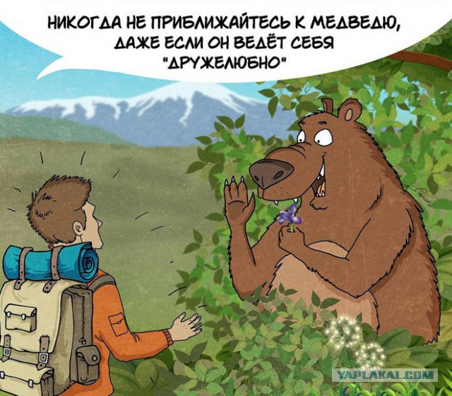 10 забавных, но правдивых комиксов, о правилах поведения с медведями