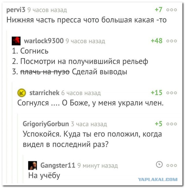 10118186.jpg