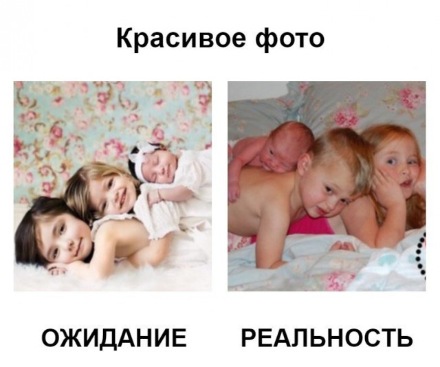 7866286.jpg