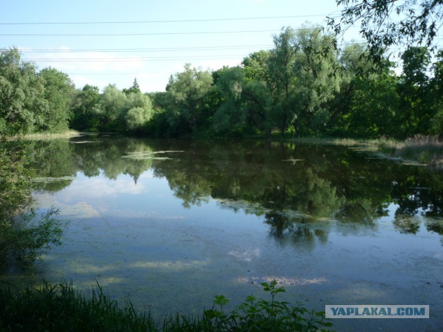 Немного Самары