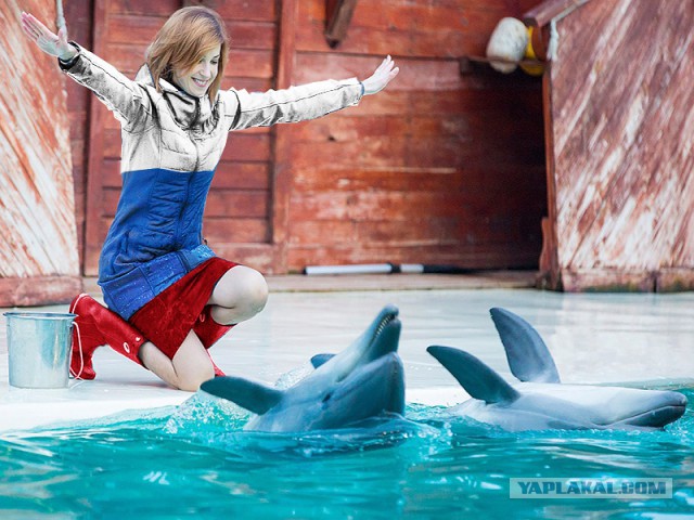 Фотожаба: Поклонская с дельфинами