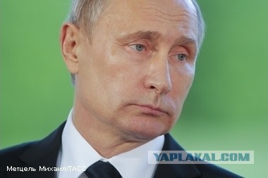 Путин отменил все намеченные на неделю поездки и встречи