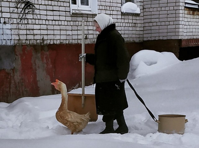 Удивительные снимки с российских просторов 10.02.19