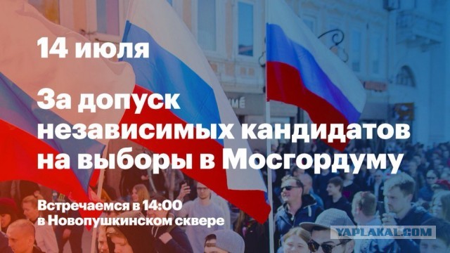 Полный беспредел на выборах. Любовь Соболь объявила голодовку...