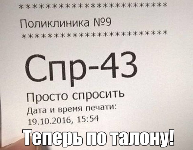 9190296.jpg