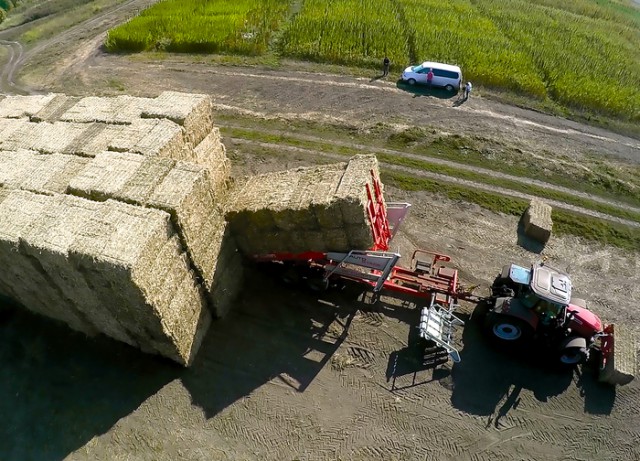 Канаты не курят. Сказ о нижегородской конопле.