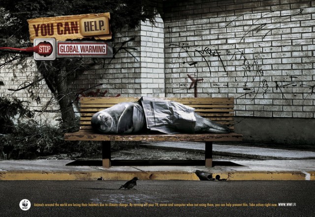 Социальная реклама: Бездомное зверье