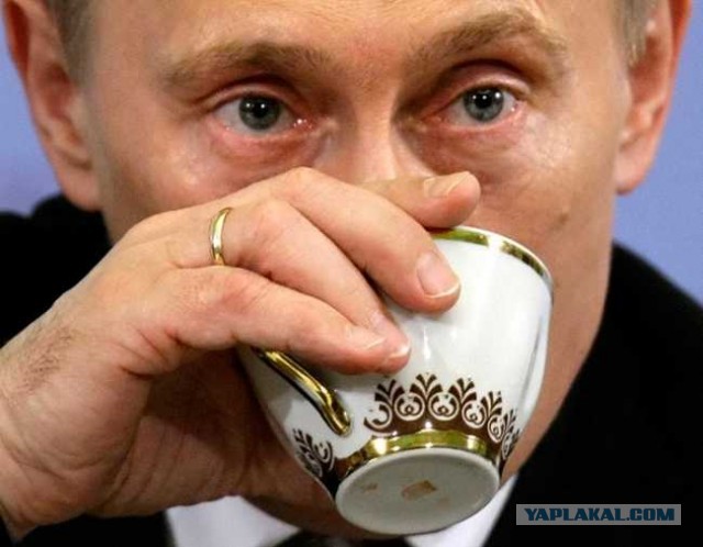 дмитрий пчела дмитрий пчела