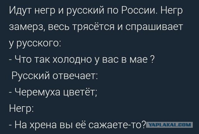 Анекдотом по четвергу...