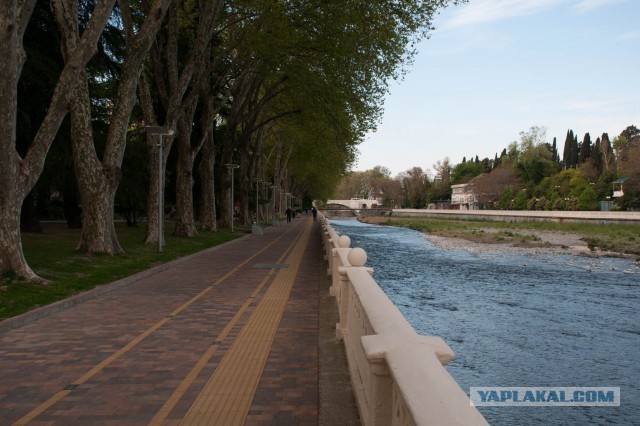 Утренний Сочи на карантине