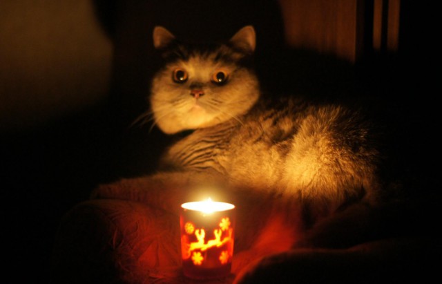 Доступно обновление кота с лампой