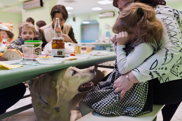 Лечение детей с помощью собак