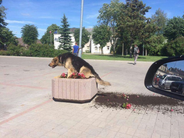 Бывают в жизни огорчения...