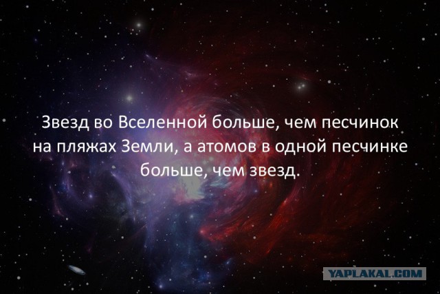 40 интересных фактов в картинках. Продолжение