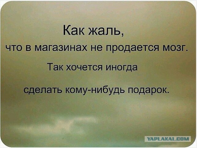 Цитаты к одуванчиками Цитаты к одуванчиками