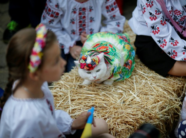 Подборка интересных и веселых фото