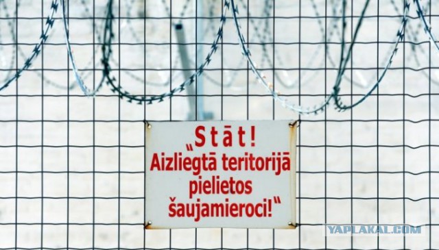 Латвия возвела забор с колючей проволокой на границе с Россией