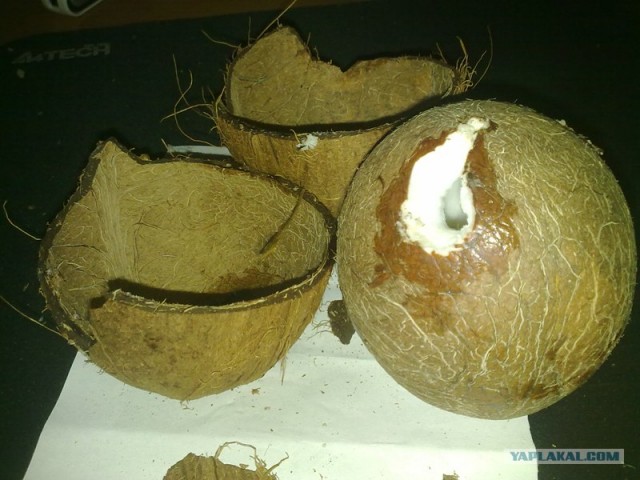 Как почистить кокос