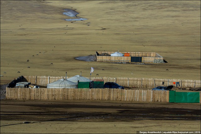 Зачем монголы окружают свои юрты посреди степи забором