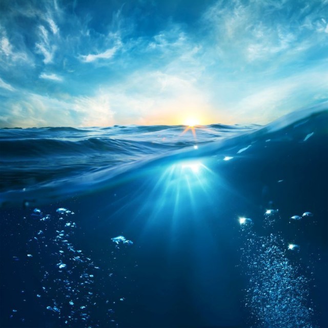 Смерть на дне океанов. Ученые предупредили о возможности глобального катаклизма