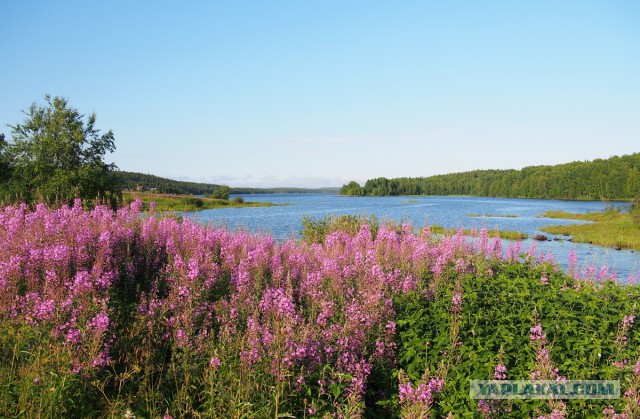 Карелия. Белое море.